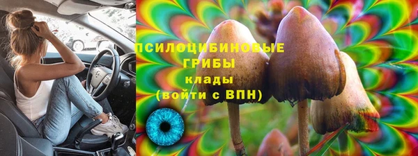 трава Кукмор