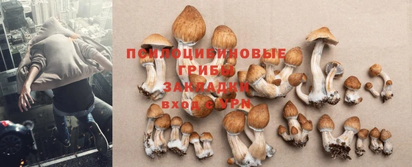 мдма Лабытнанги
