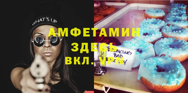 шишки Куйбышев