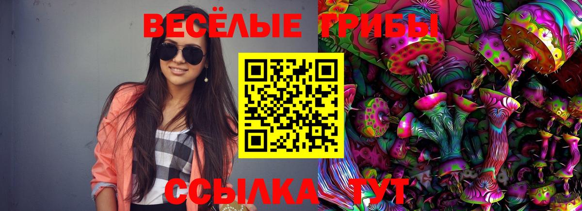 Псилоцибиновые грибы Psilocybe  Галлюциногенные грибы прущие грибы  Павлово  Вход с VPN 